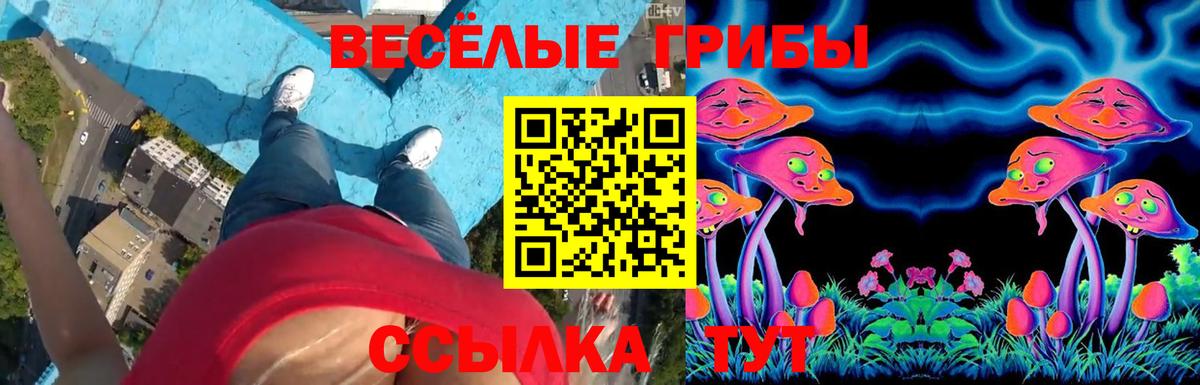 купить  сайты  Вход с VPN  Псилоцибиновые грибы прущие грибы  Химки  Галлюциногенные грибы MAGIC MUSHROOMS 